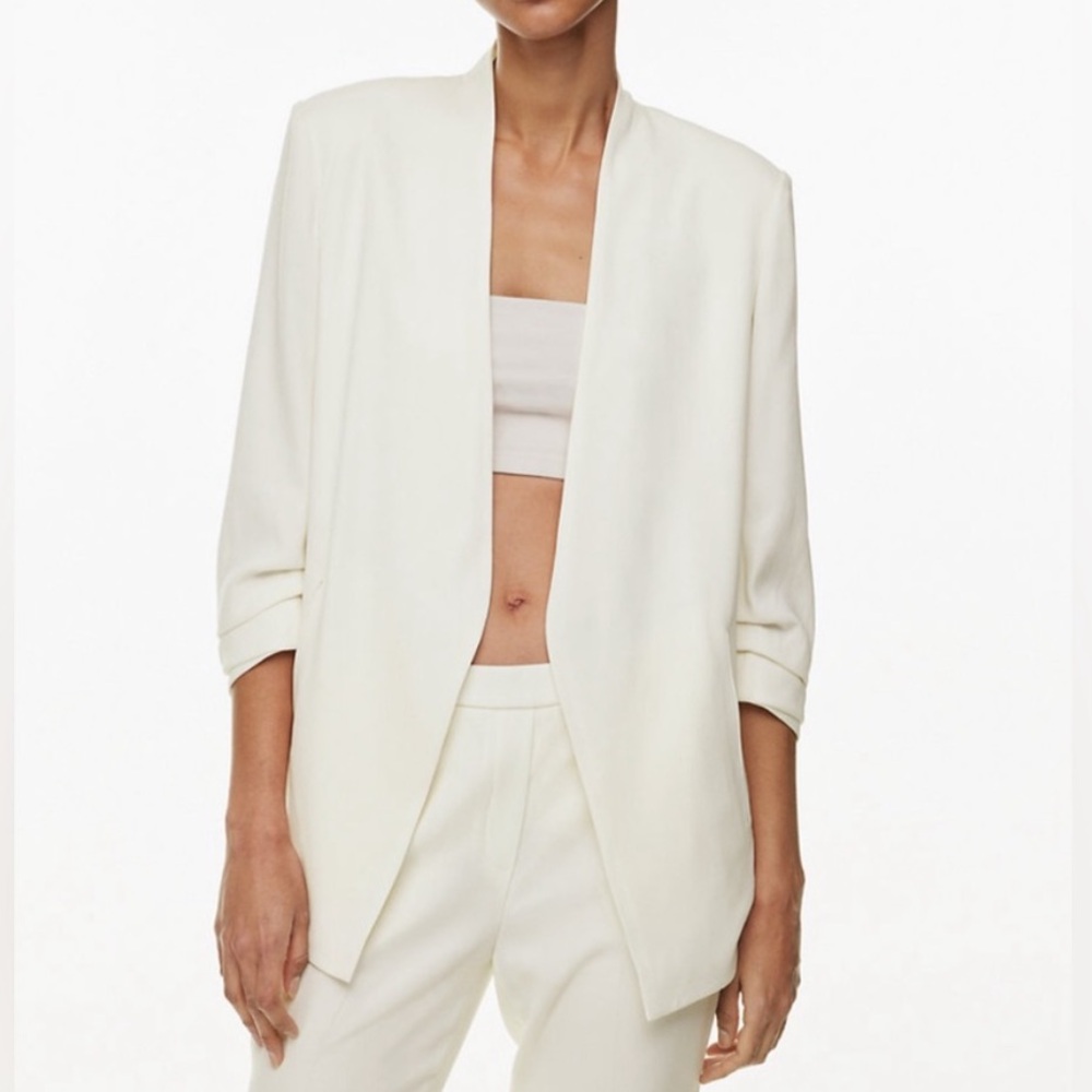 Aritzia Babaton Power Blazer